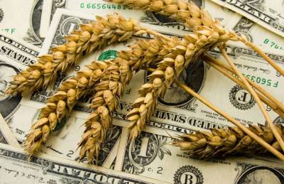 На экспорт ушло свыше 10 млн т украинского зерна