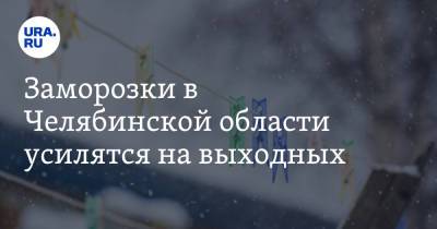 Заморозки в Челябинской области усилятся на выходных