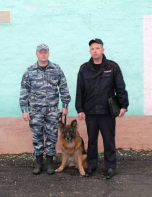 До полуночи искали полицейские потерявшегося грибника в Грязовецком районе - vologda-poisk.ru - район Грязовецкий