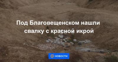 Под Благовещенском нашли свалку с красной икрой