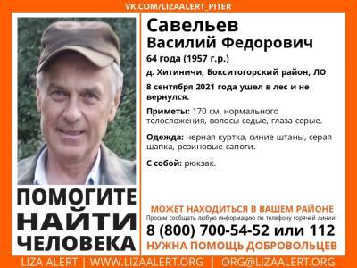 В Бокситогорском районе без вести пропал 64-летний мужчина