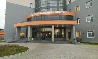 На выписку из перинатального центра в Петрозаводске к маме не пустили старших детей