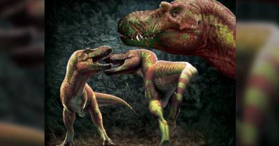 Ученые выяснили, что тираннозавры организовывали собственные "бойцовские клубы"