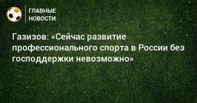 Газизов: «Сейчас развитие профессионального спорта в России без господдержки невозможно»