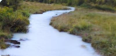Добытчики природных ископаемых убивают реки и наносят непоправимый вред экосистеме