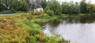 На озере Ведлозеро в Карелии восстановят протоку, закрытую дамбой в советские времена
