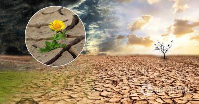 Засуха в Европе: какие регионы в зоне риска – изменения климата