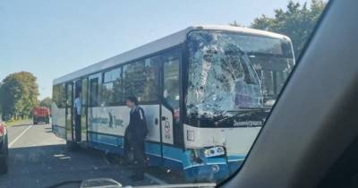 В Гурьевском районе столкнулись пассажирский автобус, «микрик» и бензовоз (фото)