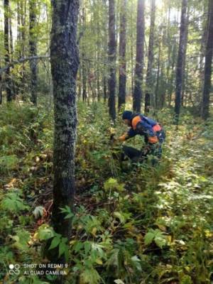 Тело пропавшего сторожа нашли в лесу Вологодской области