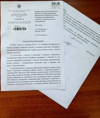 Депутат Госдумы заявил о нарушениях трудового законодательства в IT-компании Xsolla
