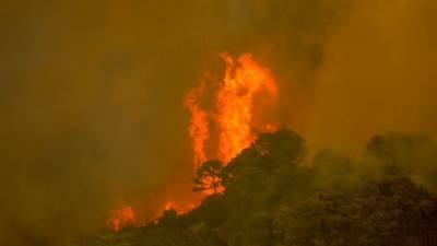 Сотни человек эвакуировали из-за сильного природного пожара на юге Испании