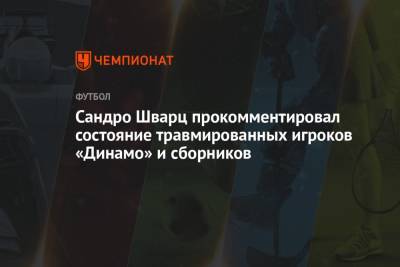 Сандро Шварц прокомментировал состояние травмированных игроков «Динамо» и сборников