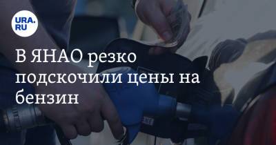 В ЯНАО резко подскочили цены на бензин. Фото