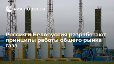Россия и Белоруссия договорились о разработке принципов работы общего рынка газа