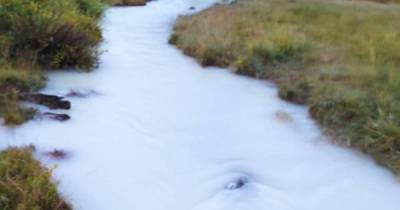 В Бурприроднадзоре объяснили появление "молочной" реки в Бурятии