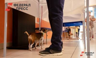 Петербург назвали центром избирательных махинаций и подтасовок