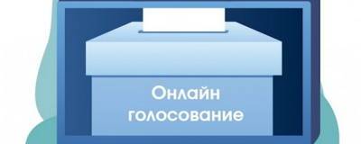 Онлайн-голосование в Москве может привлечь к выборам до 40% новых избирателей – политолог