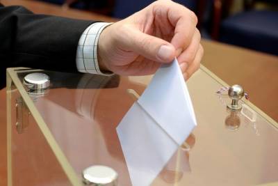 Вход воспрещен: петербургских школьников не пустят в школы в День выборов