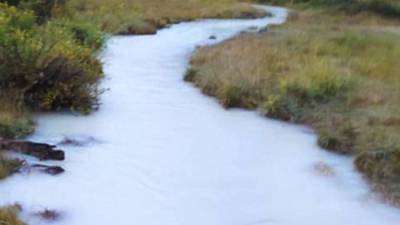 Чиновники объяснили появление «молочной» реки в Бурятии