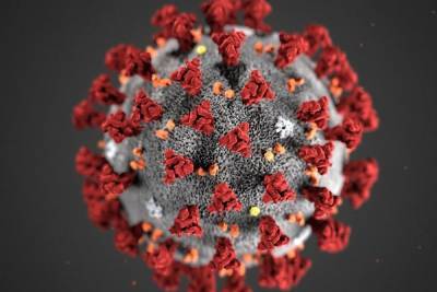 Роспотребнадзор назвал отличия между коронавирусом COVID-19 и гриппом
