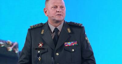 Главнокомандующий ВСУ рассказал количество военных РФ в ОРДЛО и вблизи границы Украины