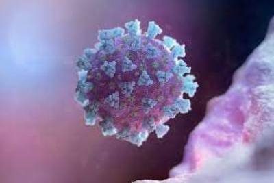 Первые случаи заражения штаммом коронавируса "Мю" зафиксировали в Турции