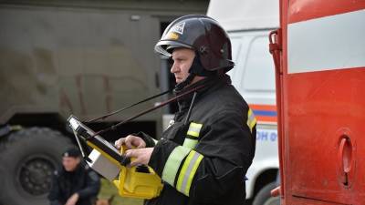 В МЧС заявили о ликвидации пожара в мордовском природном заповеднике