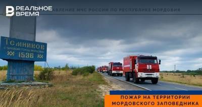 В Мордовии потушили пожар на территории заповедника — он начался в августе - realnoevremya.ru - Россия - республика Мордовия