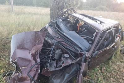 В Шиловском районе ВАЗ врезался в дерево, пострадал 40-летний пассажир
