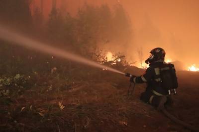 Спасатели ликвидировали пожар в Мордовском заповеднике спустя месяц
