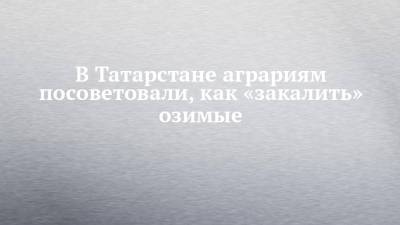 В Татарстане аграриям посоветовали, как «закалить» озимые