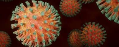 В Севастополе наблюдается снижение заболеваемости коронавирусом: 98 случаев за сутки