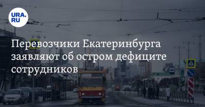 Перевозчики Екатеринбурга заявляют об остром дефиците сотрудников. «Иностранцы уехали»