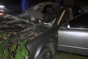 ДТП на Буковине: в аварии столкнулись легковое авто и лошадь