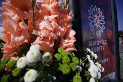 В 2022 году фестиваль «Белгород в цвету» пройдет по всей области