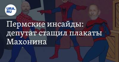 Пермские инсайды: депутат стащил плакаты Махонина