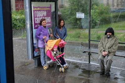 Петербуржцам пообещали сократить время ожидания автобусов на восьми маршрутах