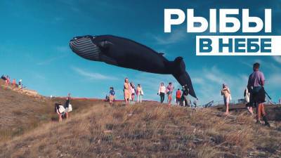 Летающий кит и небесные рыбы: в Крыму прошёл фестиваль воздушных змеев