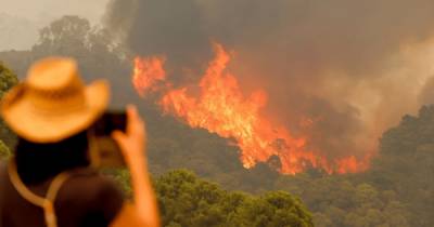В Испании продолжает бушевать лесной пожар, эвакуированы более 1000 человек (фото, видео)