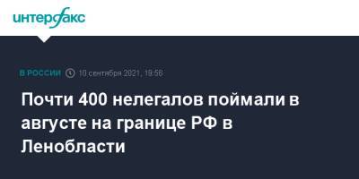 Почти 400 нелегалов поймали в августе на границе РФ в Ленобласти