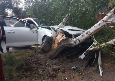 В центре Рязани пьяный водитель «собрал» три автомобиля и повалил березу