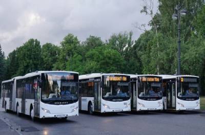 Со следующей недели в Петербурге запустят дополнительные автобусы