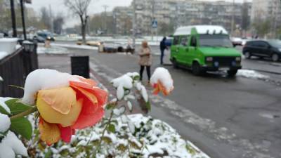 Снег и заморозки обрушатся на Украину, синоптики озвучили неутешительный прогноз: когда ждать похолодания