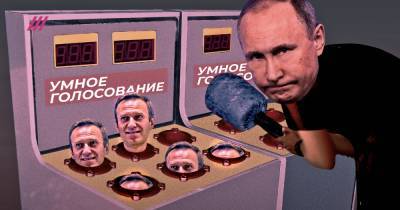 Двойники, овцы и письма Тиму Куку: как Путин борется с «Умным голосованием»