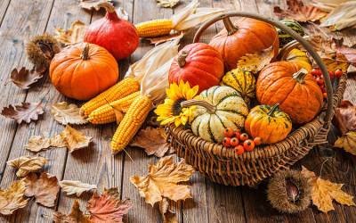 Названы 5 продуктов, которые обязательно нужно есть осенью, чтобы не болеть