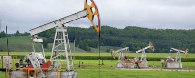 Минприроды: запасы российской сырой нефти уменьшились на треть за последние десять лет