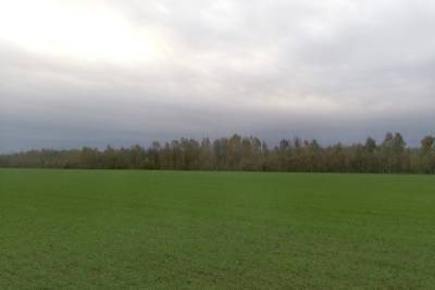 Какой погоды ждать в Смоленской области в субботу