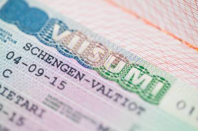 Жители Ленобласти смогут без предварительной записи подать документы на визу