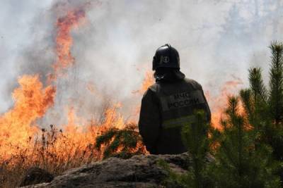 В России за сутки потушено более 12 тысяч гектаров лесных пожаров