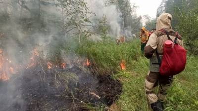 В России за сутки потушили 37 лесных пожаров